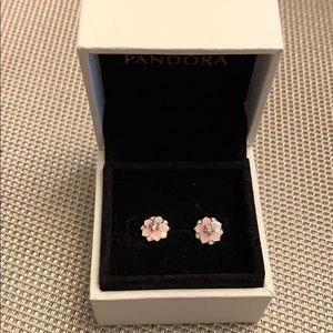 Pandora earning